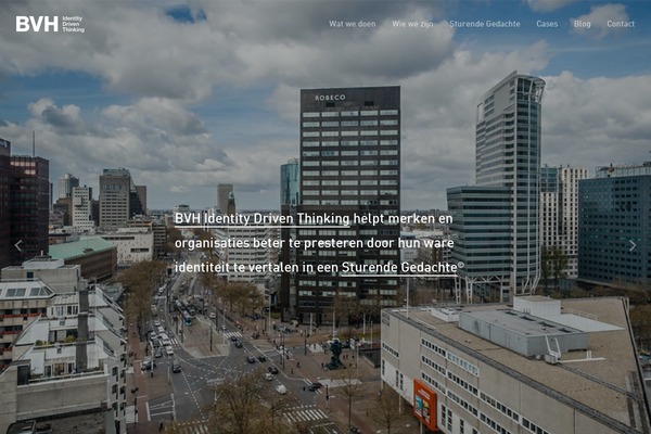 bvh theme websites examples