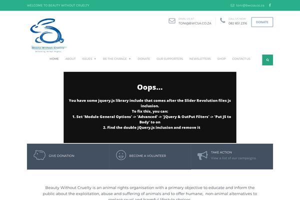 Site using Donations-for-woocommerce plugin