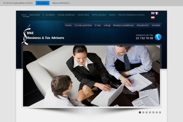 Options theme site design template sample