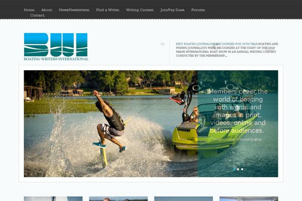 Site using Ultimate Social Media Icons PLUS plugin