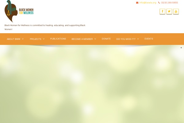 Site using Alpine PhotoTile for Pinterest plugin