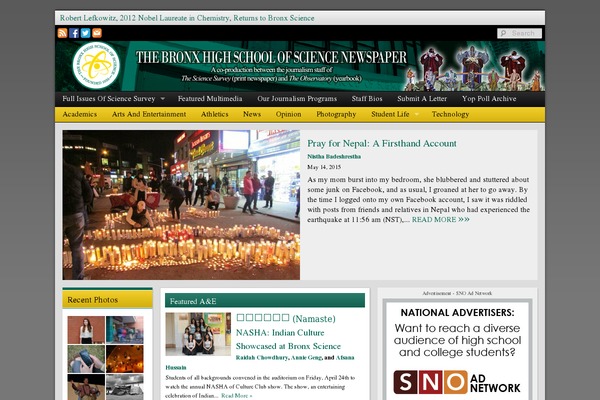 Sno Flex theme site design template sample