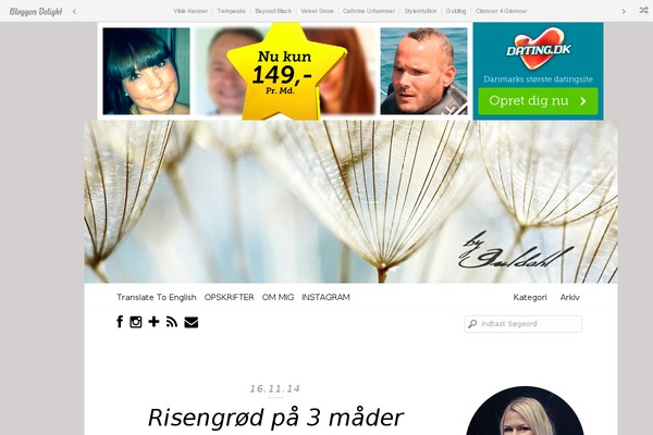 Bloggersdelight theme site design template sample