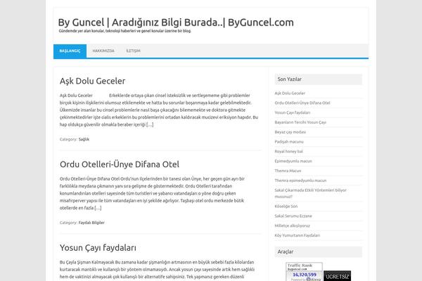 Iconic One theme site design template sample