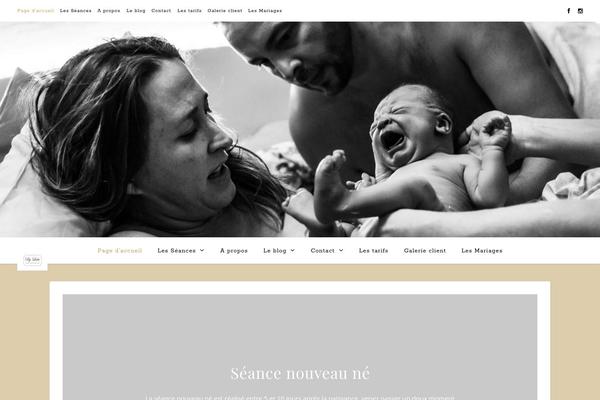 Ashe theme site design template sample