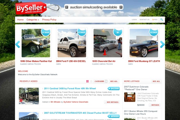 Classifieds theme site design template sample