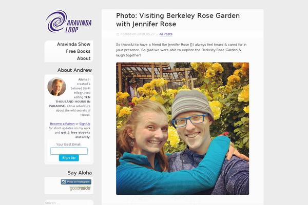 Displace theme site design template sample