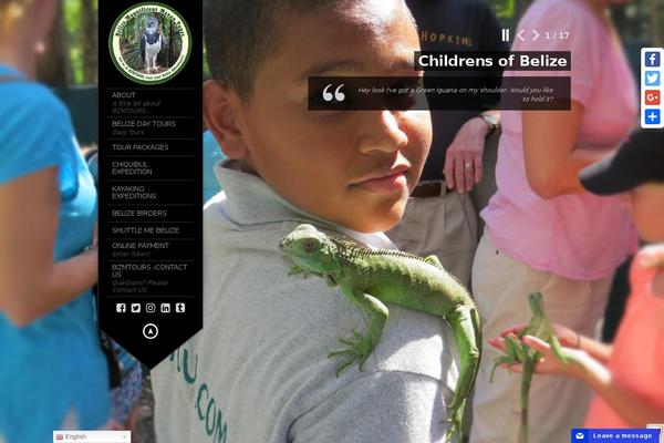 King Size theme site design template sample