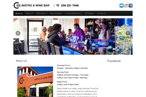 CyberChimps Pro theme site design template sample