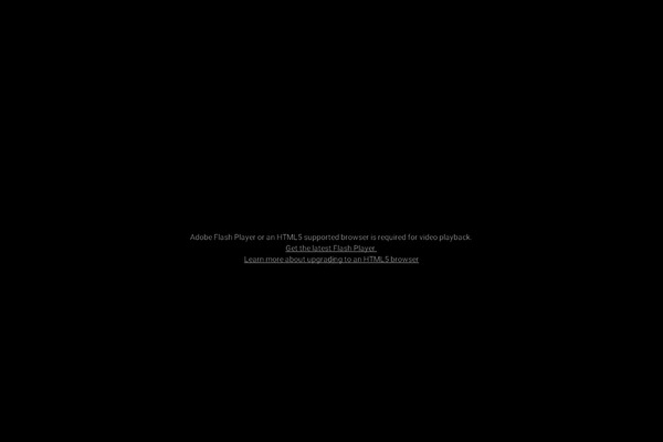 Noise-wp theme site design template sample