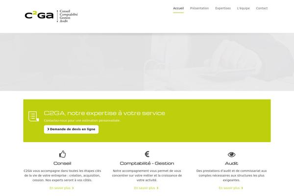 Flexform Child theme site design template sample
