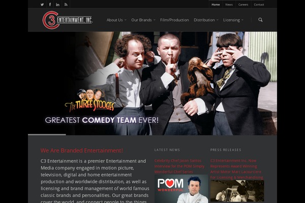 salient-3 theme websites examples