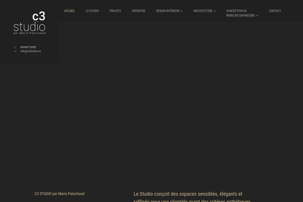 Site using Vidseo plugin
