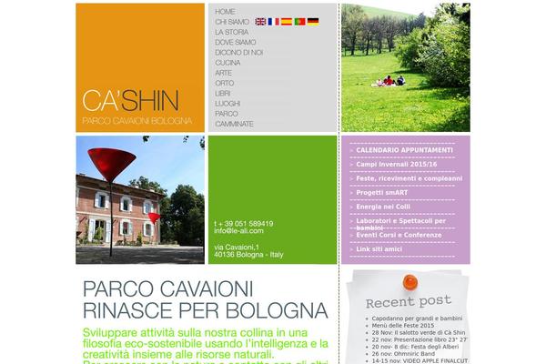 ca-shin.com site used Cashin