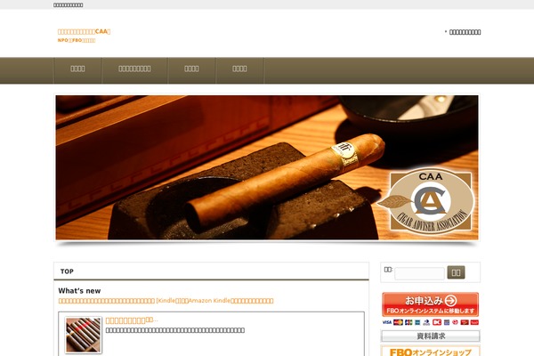 caa-w.com site used Smart058