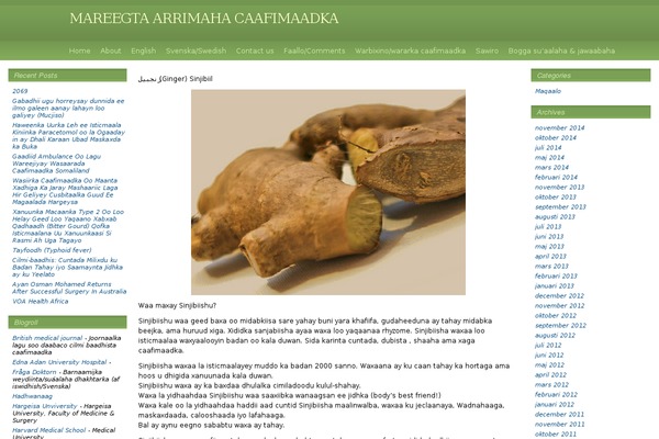 Emerald Stretch theme site design template sample