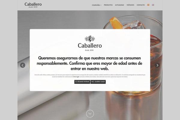 Site using Role-based-pricing-for-woocommerce plugin