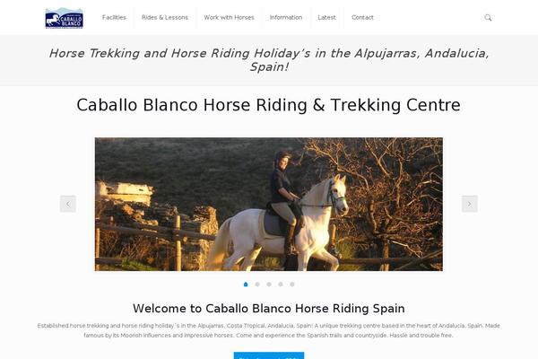 Site using Chaty plugin