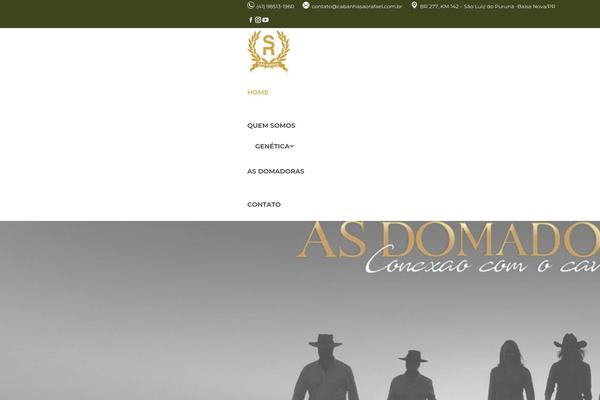 Site using Woo-conditional-discount-rules-for-checkout plugin