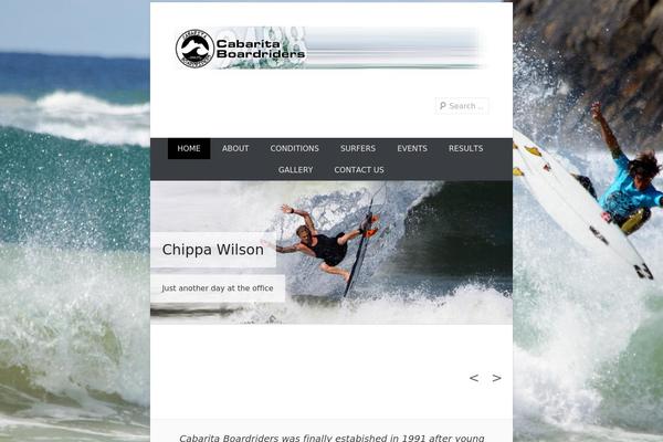 Catch Everest theme site design template sample