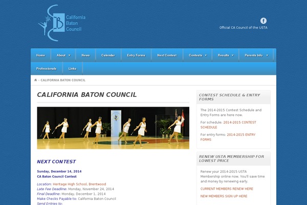 Akita theme site design template sample