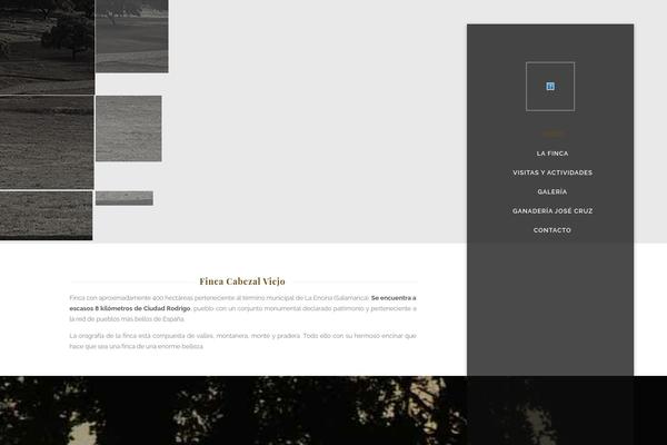Site using Google Maps Widget plugin