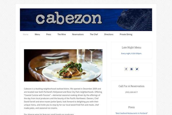 Lifestyle Pro theme site design template sample