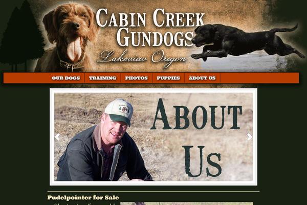 Nitrous Child Theme theme site design template sample