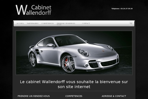 Alyeska theme site design template sample