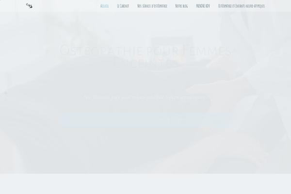 The-core-child theme site design template sample