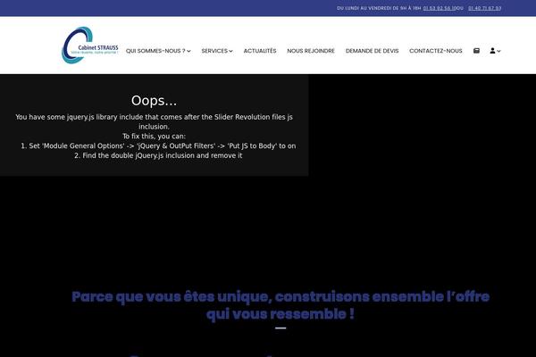 Site using Redux-framework plugin