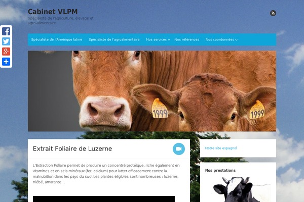 cabinetvlpm.com site used Moesia