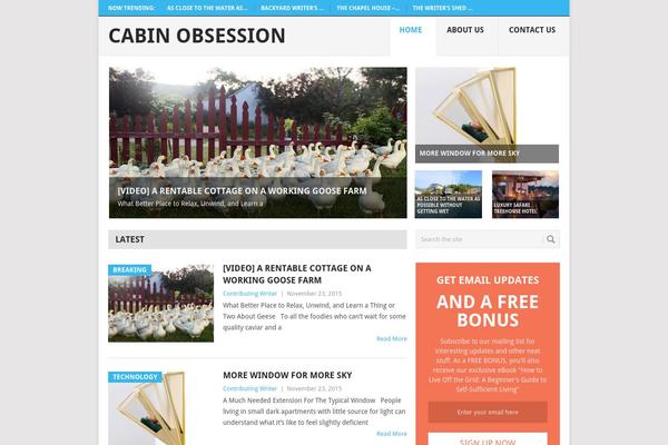 Live theme site design template sample