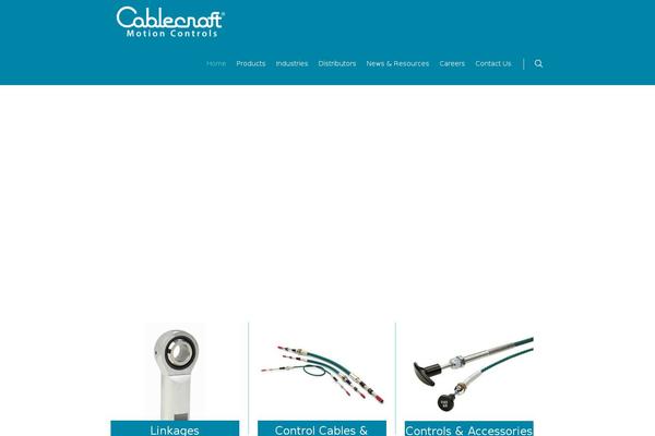 Salient theme site design template sample