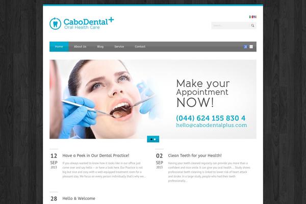 Blue Diamond v.1.06 theme site design template sample
