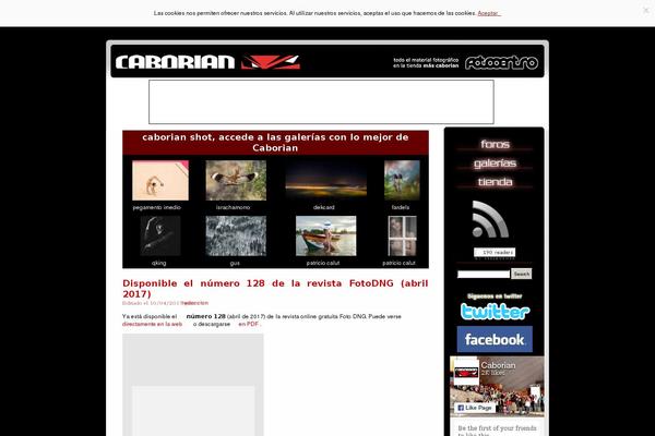 Site using Wonderplugin-gallery-trial plugin