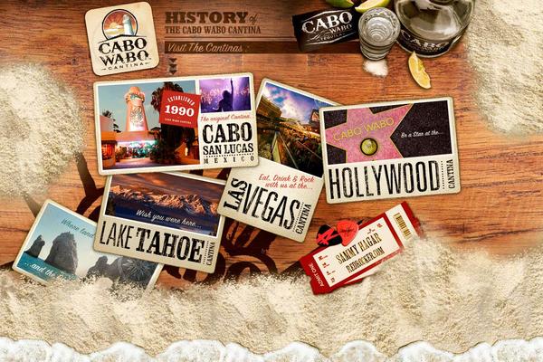 Cwc theme site design template sample