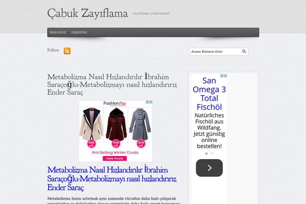 evolve theme site design template sample
