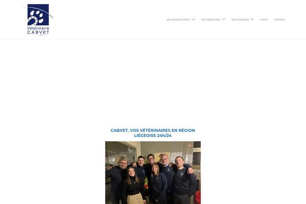Jevelin theme site design template sample