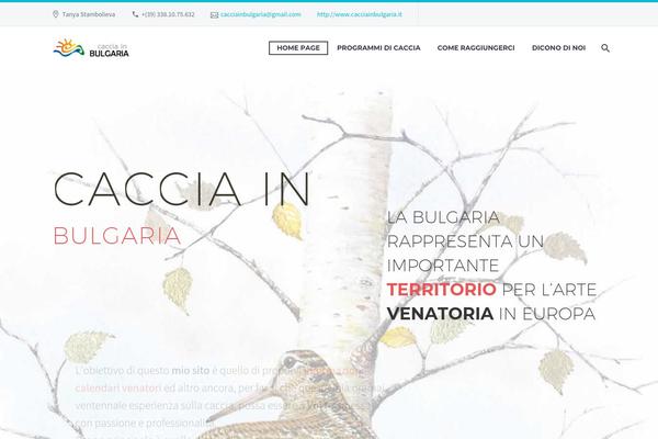 Site using LayerSlider plugin