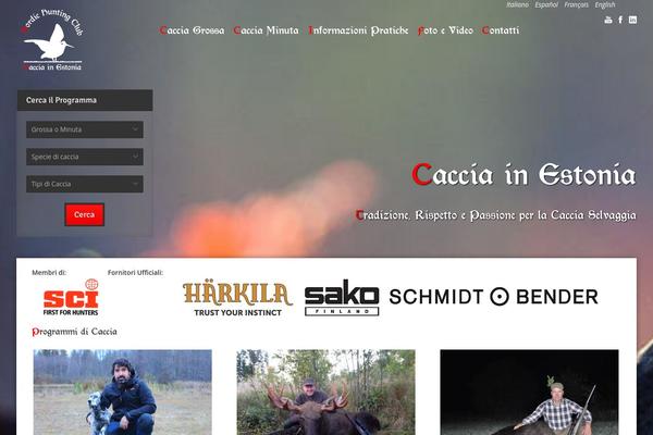 Midway theme site design template sample