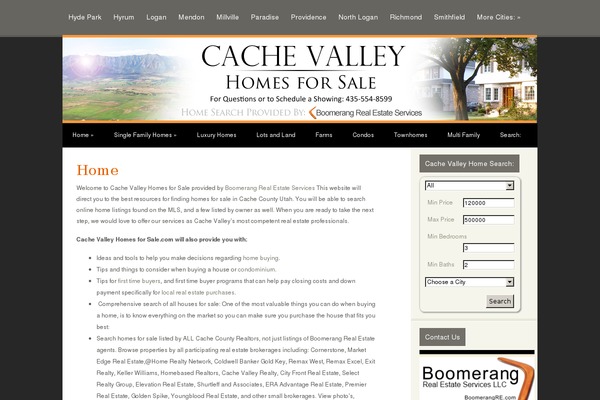Puretype theme site design template sample