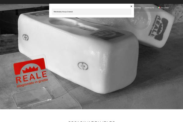 Photography theme site design template sample