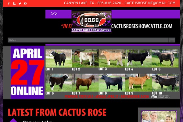 Avada theme site design template sample