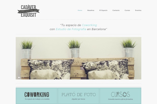 Site using Dg-divi-carousel plugin