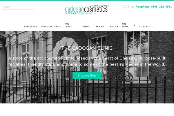 WP StrapSlider Lite theme site design template sample