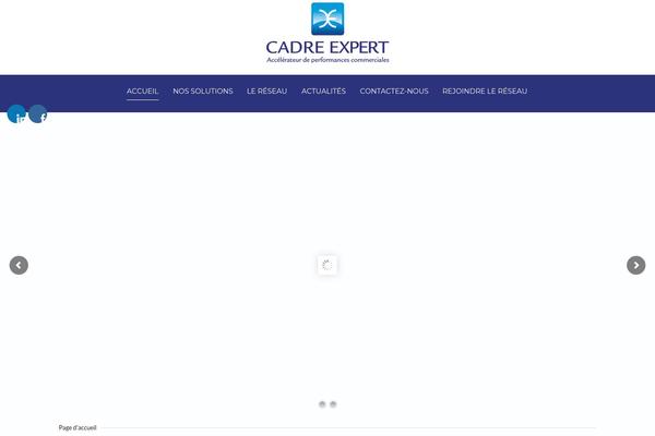 Site using Unyson plugin