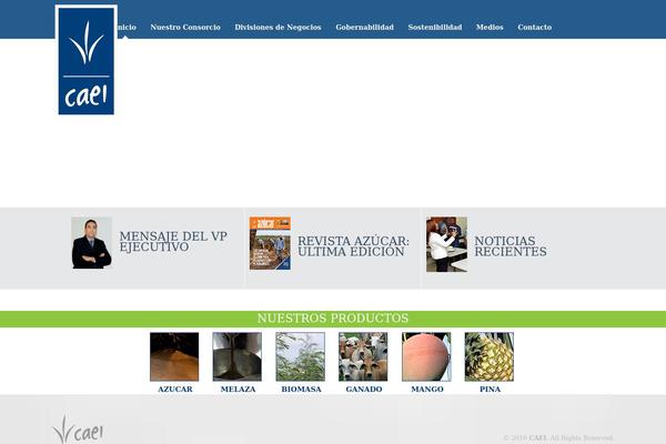 caei.com site used Rocco-child