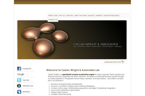Adapt theme site design template sample