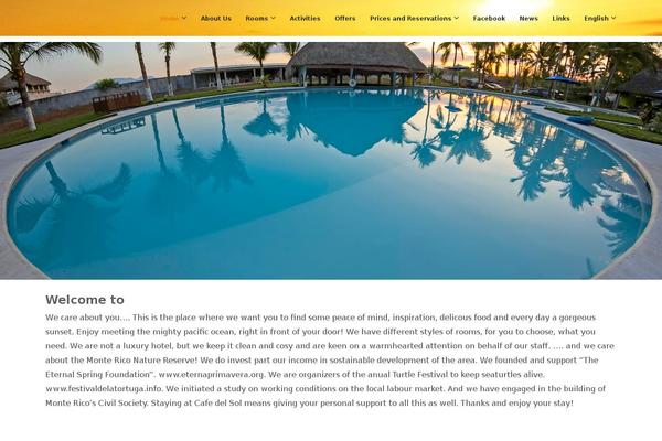 Flash theme site design template sample
